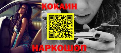 шишки Кингисепп
