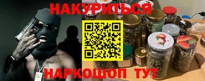 шишки Кингисепп