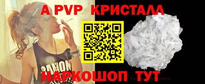 шишки Кингисепп