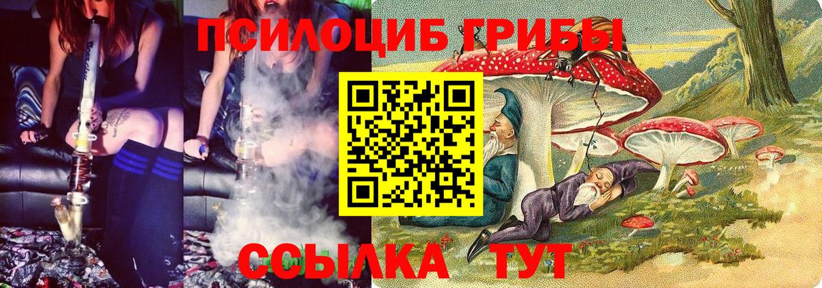 Галлюциногенные грибы прущие грибы Красноярск
