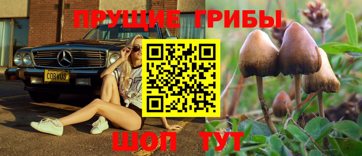 Псилоцибиновые грибы мухоморы  Галлюциногенные грибы Psilocybe  Красноярск  Вход с VPN 